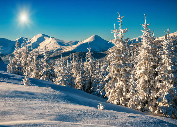 istock beautiful winter in Carpathian mountains 1189390412