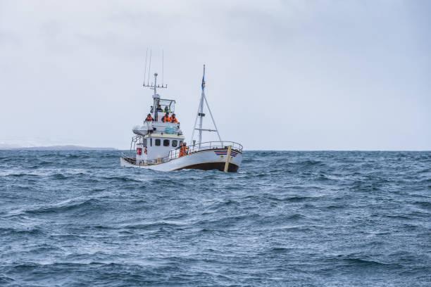 istock fishing boat in the ocean 1189390775