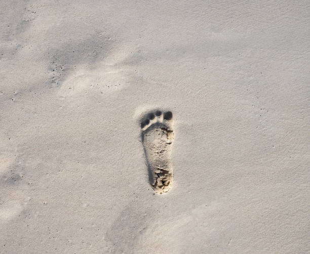 istock Footprint in the sand on a Beach 1189391313