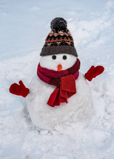 istock winter snowman in red scarf 1189392018