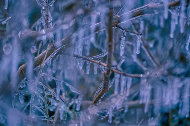 Photo of Beautiful Icicles on the trees