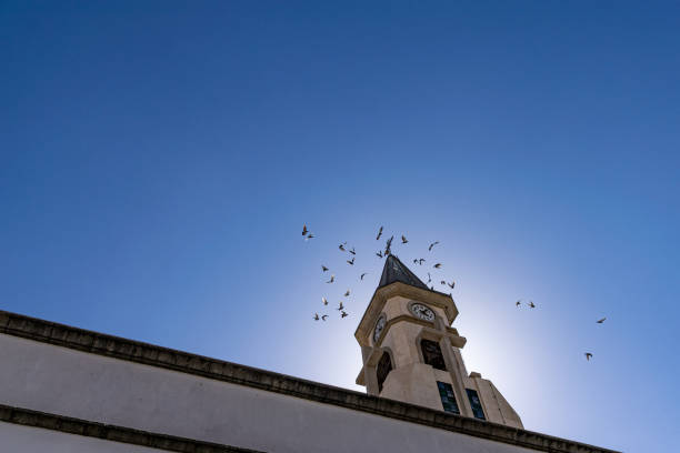 Pigeons flying around the clock tower of Ermita de Nuestra Senora de Bonanza Church, El Paso, La Palma, Canary Islands, Spain September 2018
