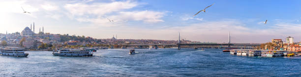 golden horn panorama completo con la moschea suleymaniye, il bosforo e il ponte della metropolitana halica, istanbul - boat horn foto e immagini stock