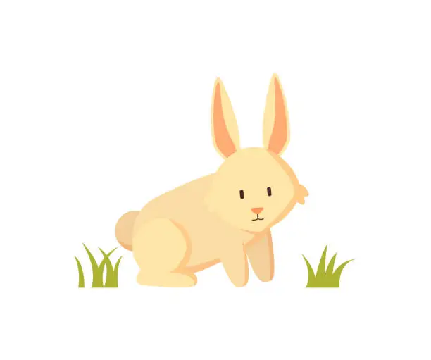 Vector illustration of Small Furry Creature White Rabbit Cartoon Poster