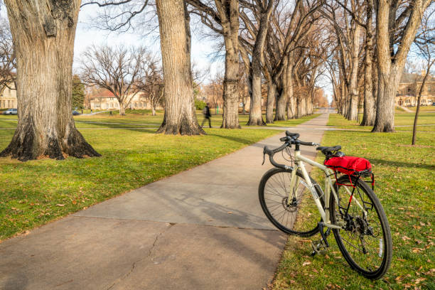 istock Allee of old American elm trees with bicycle 1189398267