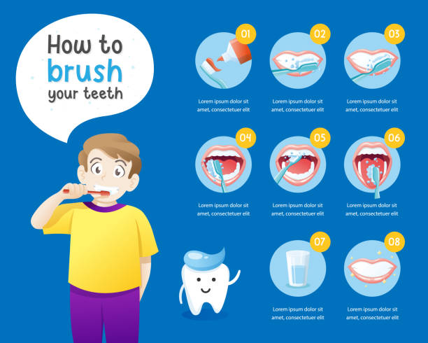stockillustraties, clipart, cartoons en iconen met borstel je tanden instructie illustratie - orthodontist illustraties
