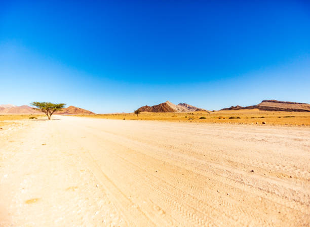 istock On the road - gravel road - Namibia 1189405363