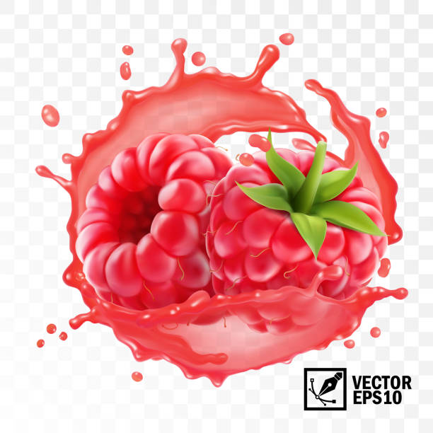 3d realistische transparente isolierte vektor, geschälte himbeerfrucht in einem spritzer saft mit tropfen, essbare handgefertigte mesh - raspberry stock-grafiken, -clipart, -cartoons und -symbole