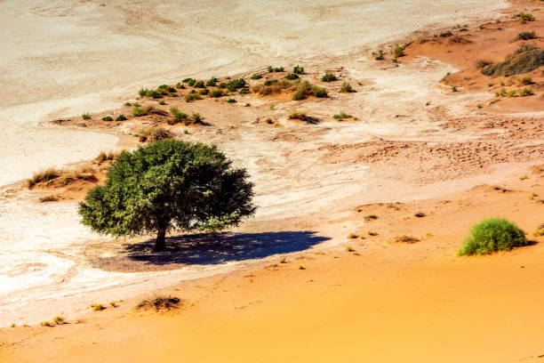 istock desert dunes, Sossusvlei, Namibia, Africa 1189410947