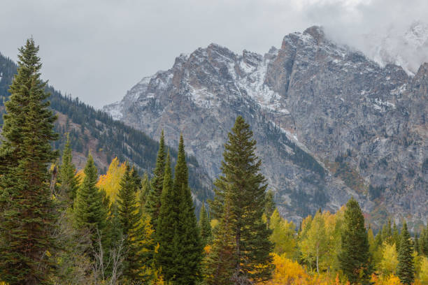 istock Scenic Teton Landscape in Autumn 1189411141