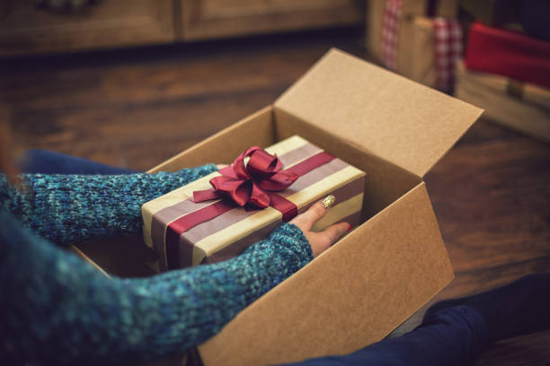 istock Young girl getting parcel on Christmas 1189414014