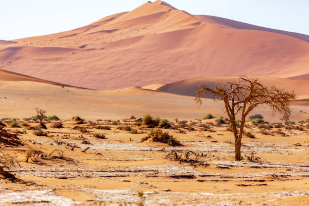 istock desert dunes, Sossusvlei, Namibia, Africa 1189415082