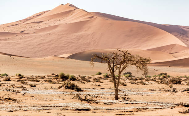 istock desert dunes, Sossusvlei, Namibia, Africa 1189415652