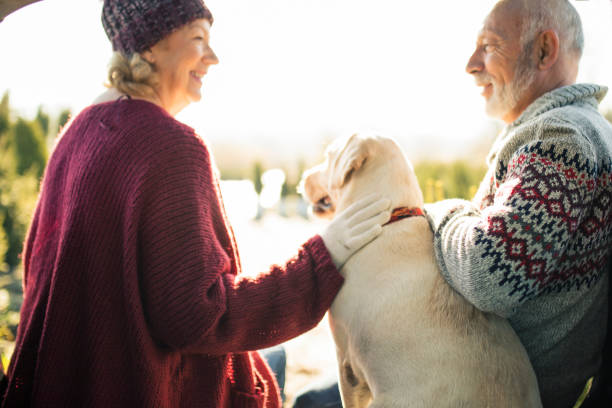 istock Senior couple with dog 1189415976