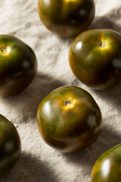 Raw Brown Organic Kumato Tomatoes Raw Brown Organic Kumato Tomatoes Ready to Eat ripe kumato tomatoes stock pictures, royalty-free photos & images
