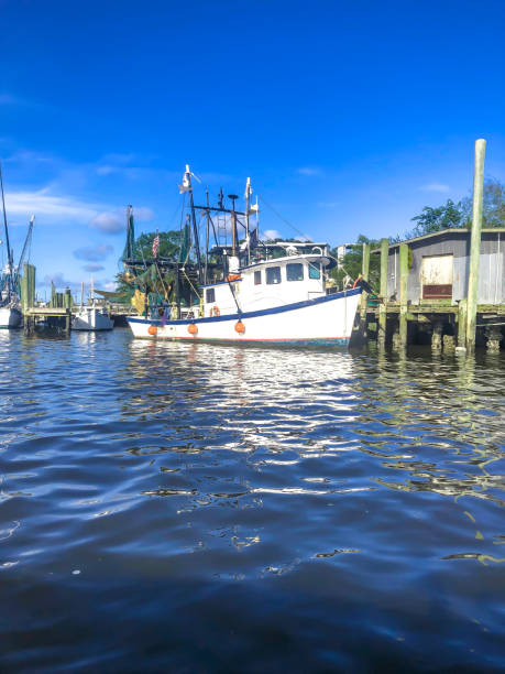 Fishing boat docked in South Carolina Charleston marina with shrimp boats sailboat mast stock pictures, royalty-free photos & images