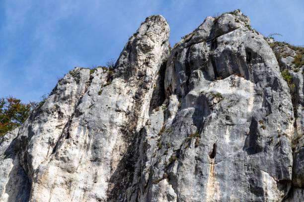 high rocks in the village essing in bavaria, germany at the altmuehl river - essing stock-fotos und bilder