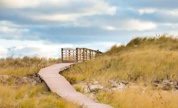 Boardwalk and sandy beach dunes along the Massachusetts coast