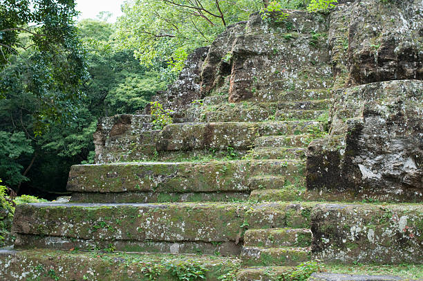 Maya Temple In Tropical Forest stock photo