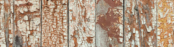 Rustic timber background with great texture, close up view. Cracked paint on wooden planks, aged by time. Super wide natural background with traces of wear, holes knots and seams, banner Rustic timber background with great texture, close up view. Cracked paint on wooden planks, aged by time. Super wide natural background with traces of wear, holes knots and seams, banner format coating outer layer photos stock pictures, royalty-free photos & images