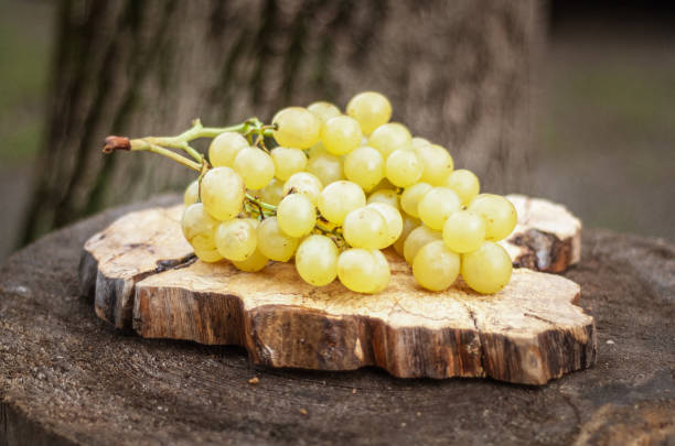 istock Ripe Green Grapes on an Old Tree Stump. 1189425390