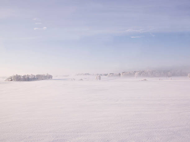 istock Winter landscape with fog 118943288