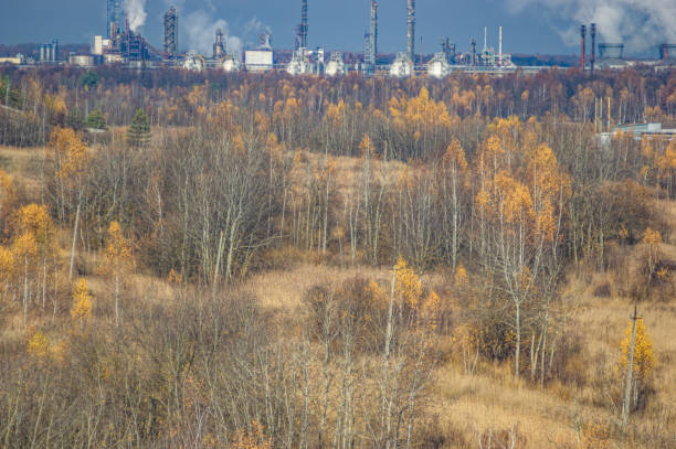 istock Factories in an industrial area among the forest 1189436921