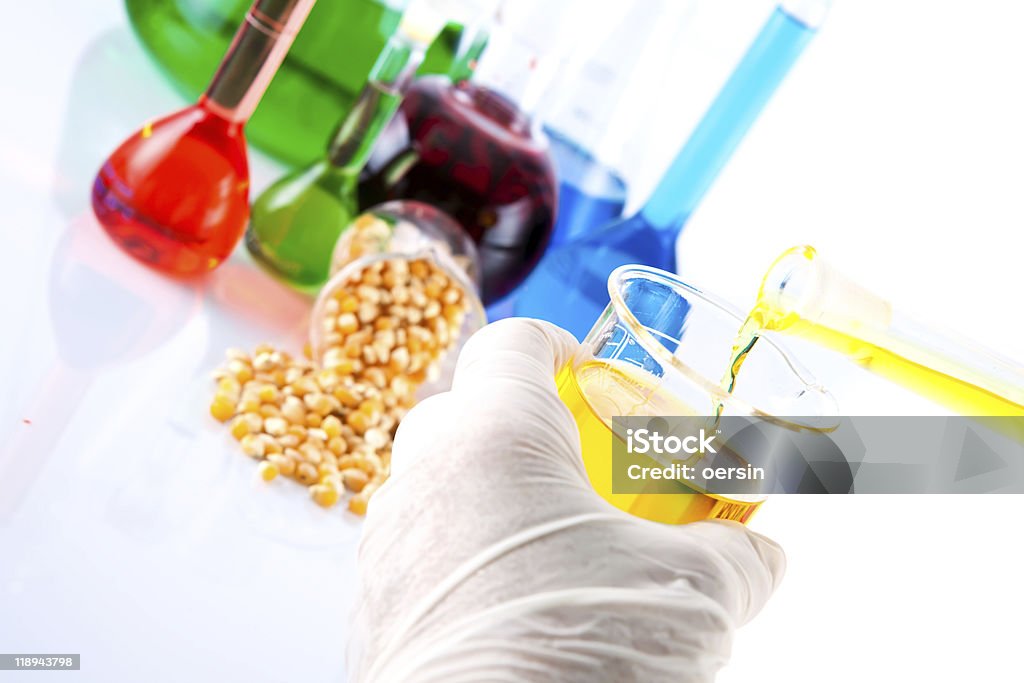 biodiesel  Agriculture Stock Photo