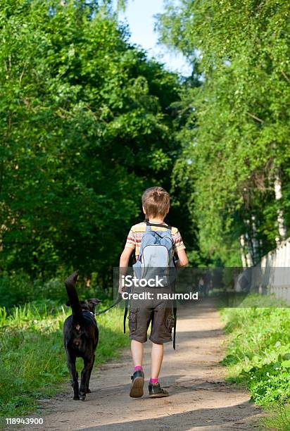 Niño Con Un Perro Foto de stock y más banco de imágenes de 6-7 años - 6-7 años, Aire libre, Amistad