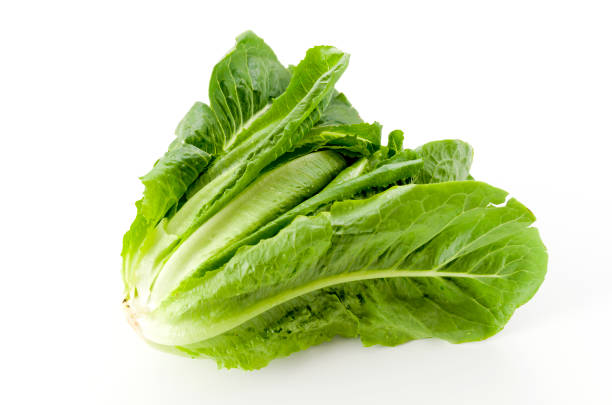 istock Fresh green Romaine Lettuce on white background 1189443907