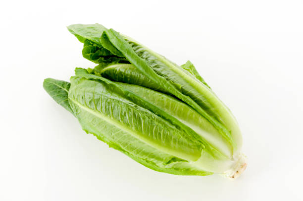 istock Fresh green Romaine Lettuce on white background 1189443913