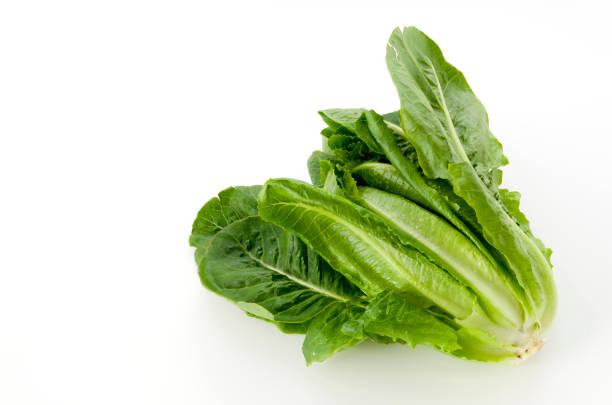 istock Fresh green Romaine Lettuce on white background 1189444003