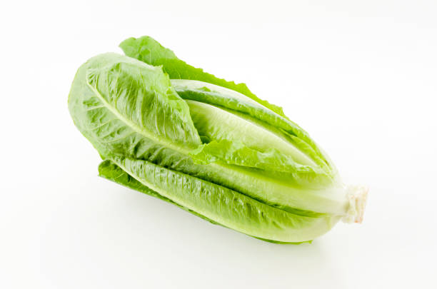istock Fresh green Romaine Lettuce on white background 1189444012