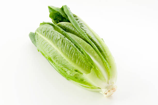 istock Fresh green Romaine Lettuce on white background 1189444019