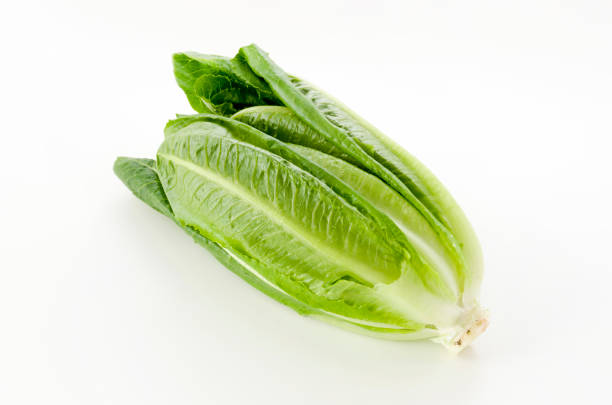 istock Fresh green Romaine Lettuce on white background 1189444024