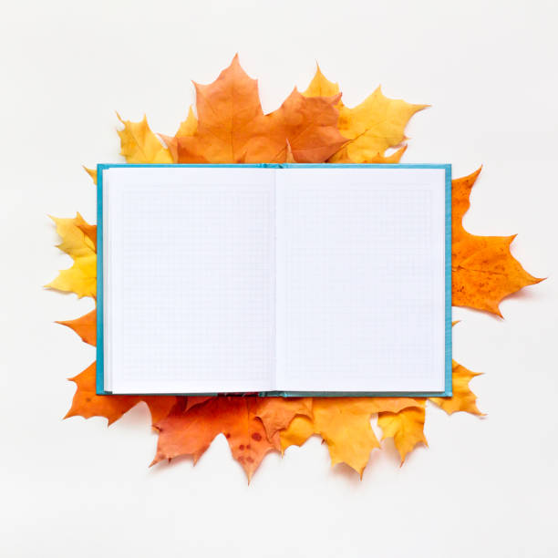 istock Empty book on autumn leaves. Creative blank mock up open notebook with maple leaves, top view. Template magazine. Copy space 1189445003