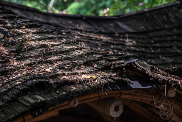 istock Thatch roof background, hay or dry grass background. 1189445243