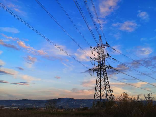 istock trellis of the current at sunset 1189445991