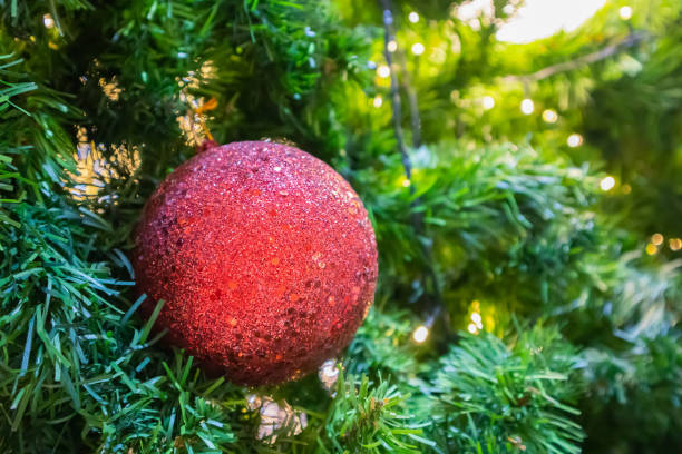 istock Christmas tree decorated with red ball on pine branches background 1189446147