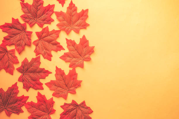 istock autumn leaves on a gray background. flatlay composition. 1189450418