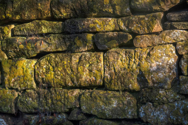 detail of an old dry stone stack wall, with mold, in Grasmere, England close up of an old dry stone stack wall with mold on it, in the late afternoon, in Grasmere, England, in the Lake District grasmere stock pictures, royalty-free photos & images