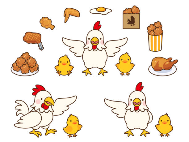 hühner und küken und verschiedene hühnergerichte illustration set - roast chicken restaurant food vector stock-grafiken, -clipart, -cartoons und -symbole