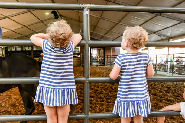 Big girl sister and identical twin toddler sisters enjoy state fair stock photo