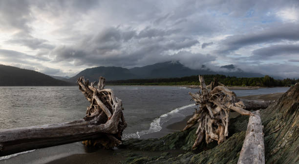 istock Port Renfrew, Vancouver Island 1189468154