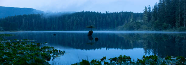 istock Port Renfrew, Vancouver Island 1189468244