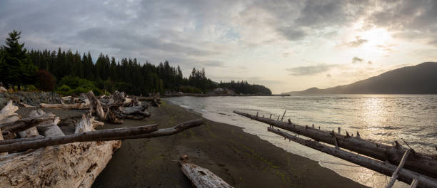 istock Port Renfrew, Vancouver Island 1189468284