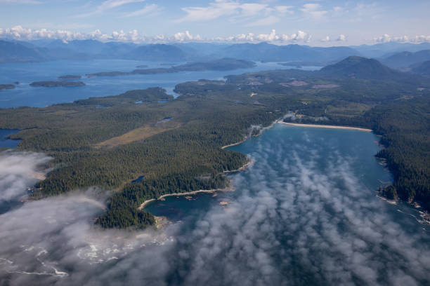 istock West Ocean Coast Aerial 1189469844