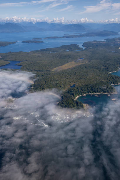 istock West Ocean Coast Aerial 1189469879