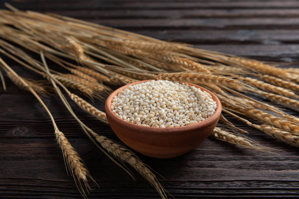 istock Raw peeled barley grains  (Hordeum vulgare) 1189469930