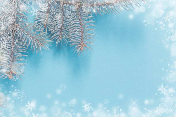 istock Christmas fir branches on blue paper background 1189470340